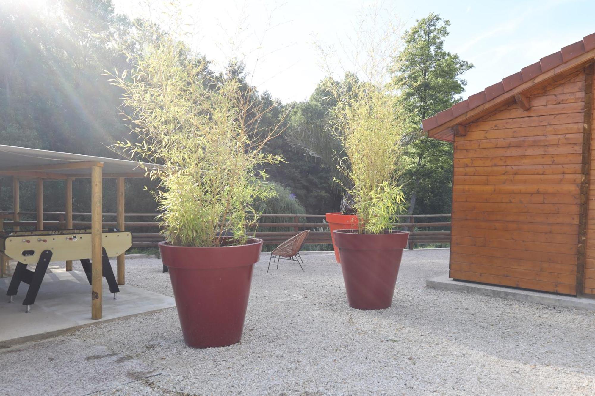 Les Chalets Du Marais Saint-Pierre-Aigle Esterno foto